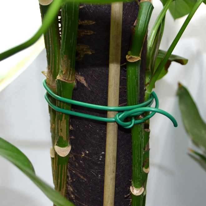 Garden Bind Plastic Tube - Image 5