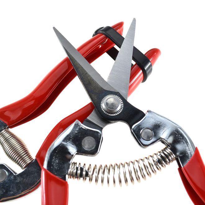 Garden Stainless Pruning Shears01 - Image 3