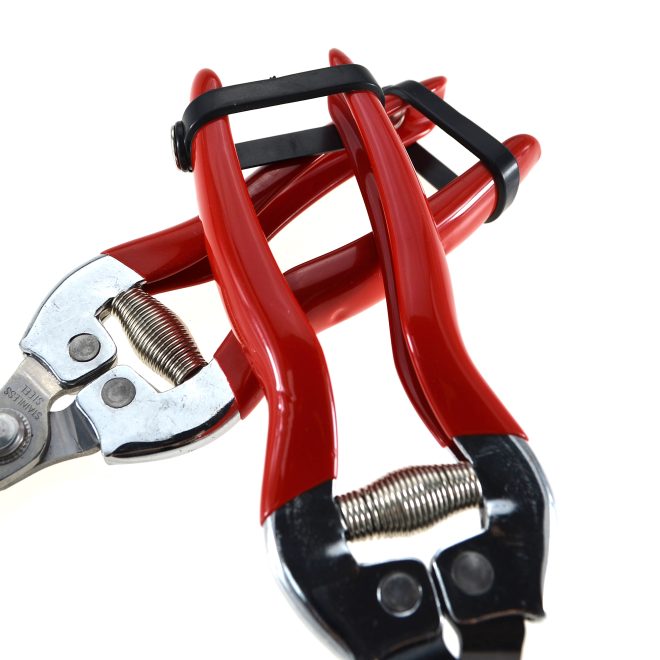 Garden Stainless Pruning Shears01 - Image 4