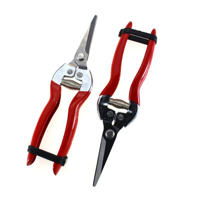 Garden Stainless Pruning Shears01 - Image 2