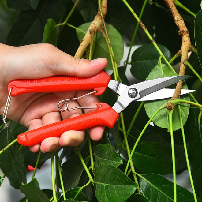 Garden Stainless Pruning Shears03 - Image 5