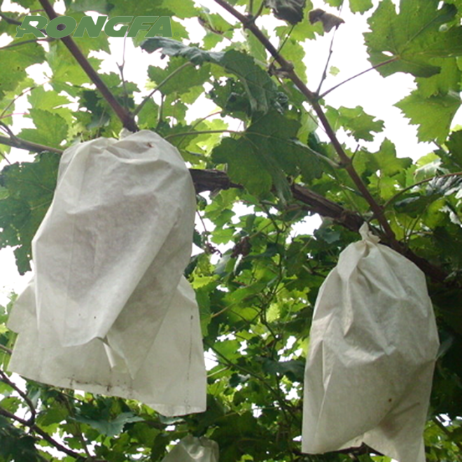 Garden Protective Paper Bags For Fruits - Image 3