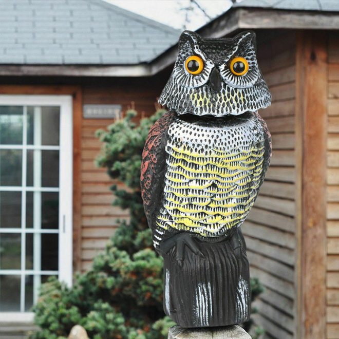 Garden Plastic Owl - Image 4